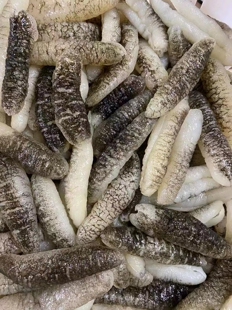 澳洲即食小明秃参刺王参南美参美国海参沙秃参黄玉参干货正品500g