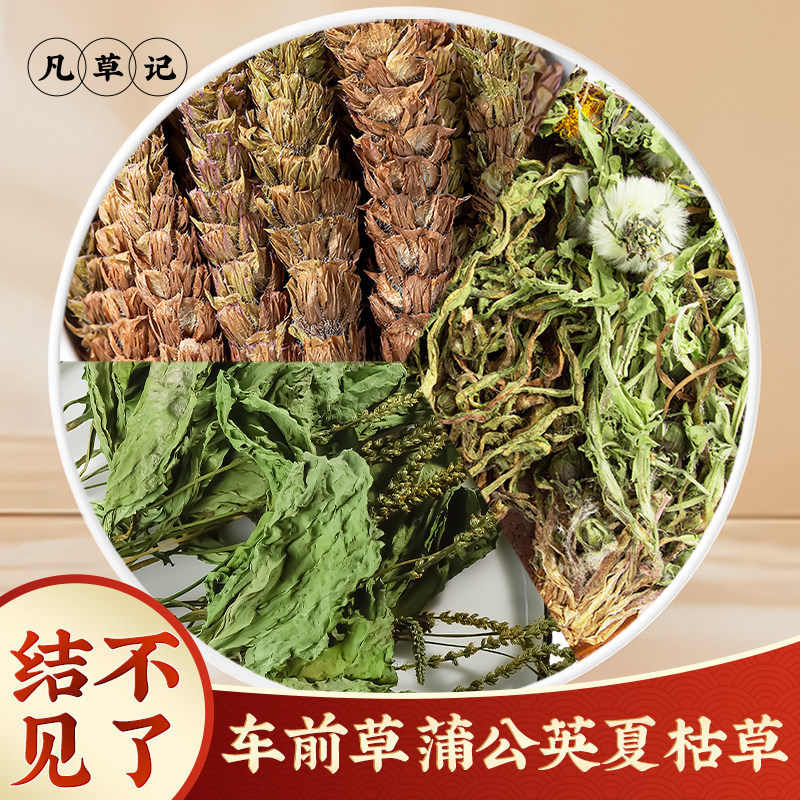 蒲公英车前草夏枯草夏日三宝