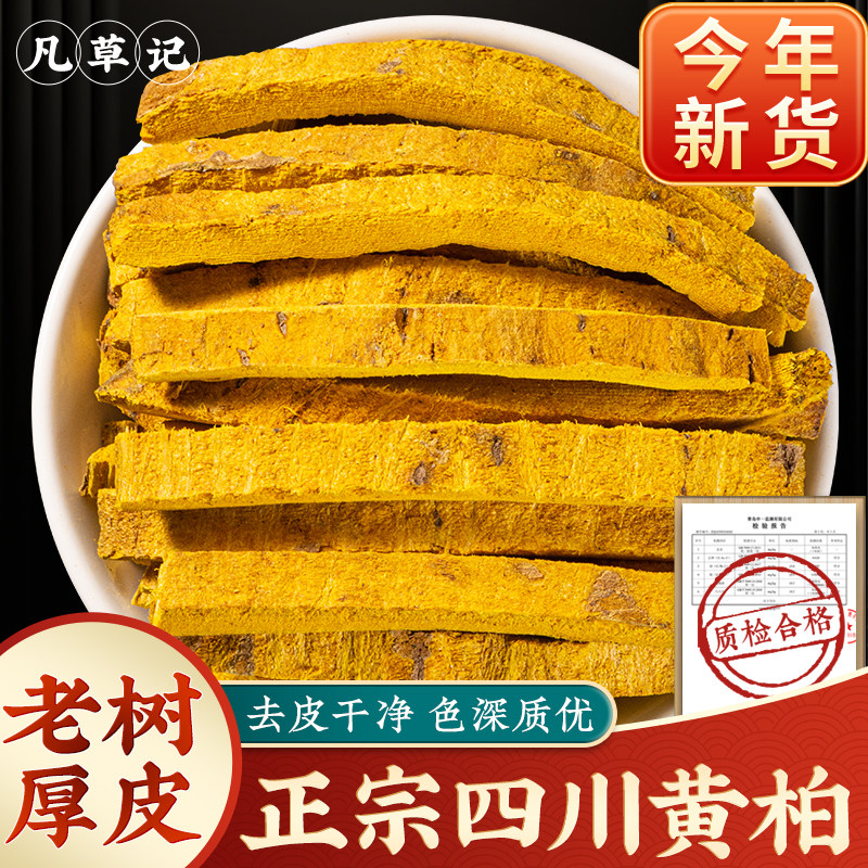 野生正宗四川黄柏中药材