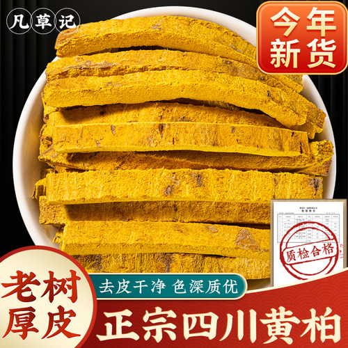 野生正宗四川黄柏中药材