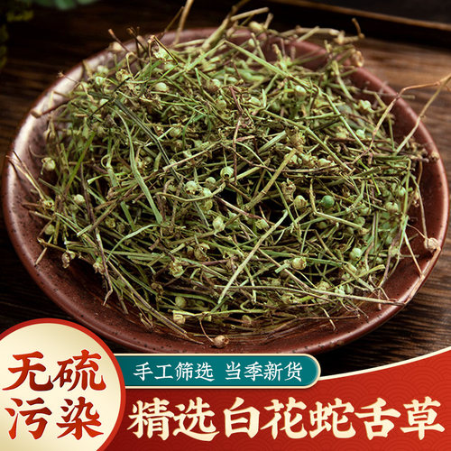 四川野生白花蛇舌草干品质精选