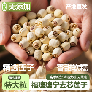 建宁莲子干货500g特大粒磨皮通心白莲去芯无芯百合银耳莲子羹特产