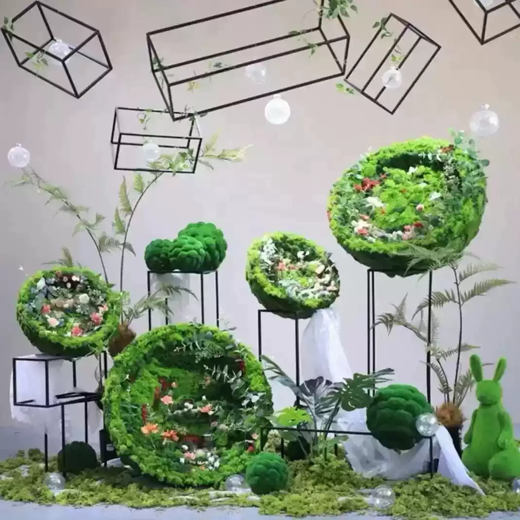 治愈系苔藓花艺室内悬挂几何框绿植森系场景定制美陈售楼处商场