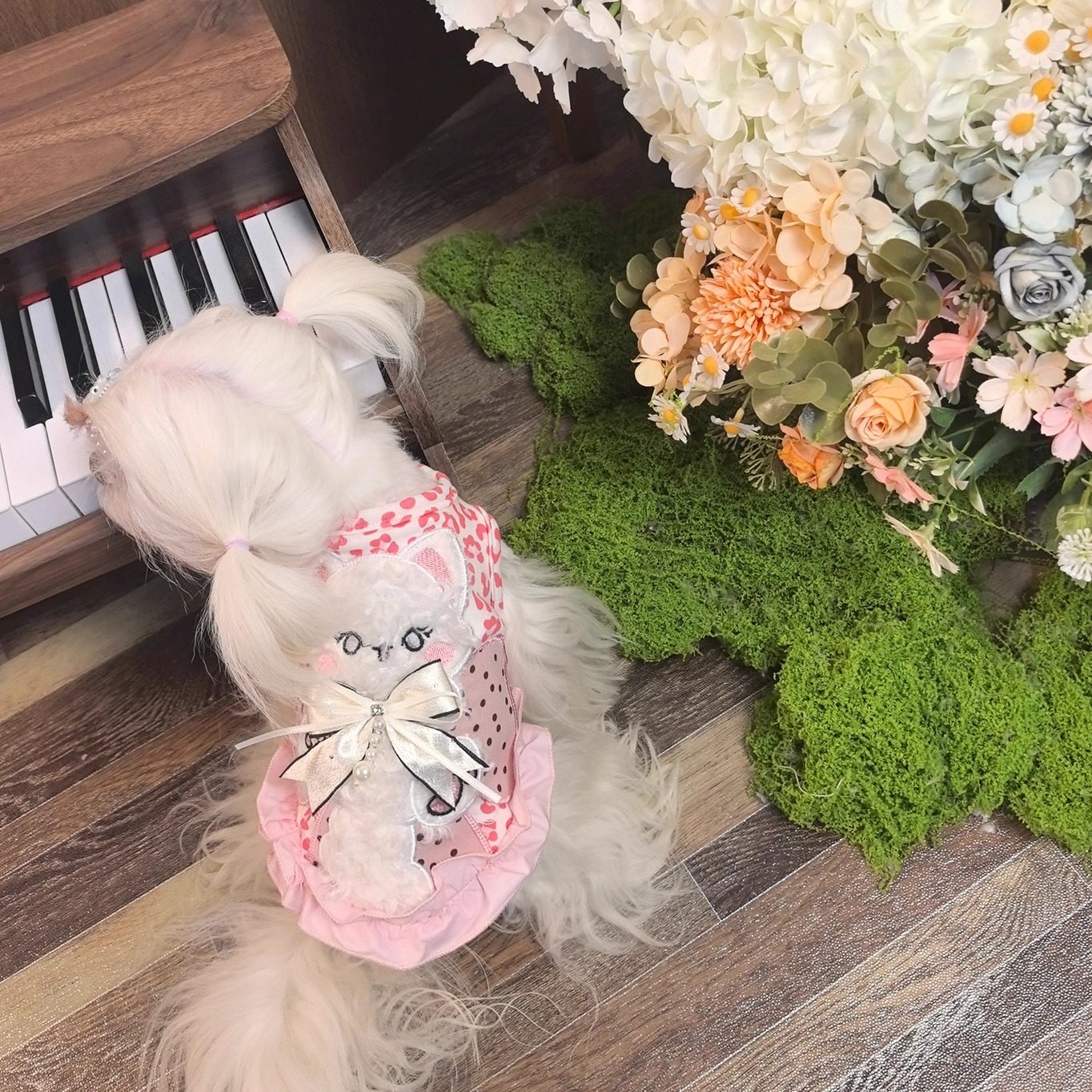 宠物泰迪比熊马尔济斯约克夏博美幼猫咪小狗衣服冬装保暖加绒加厚