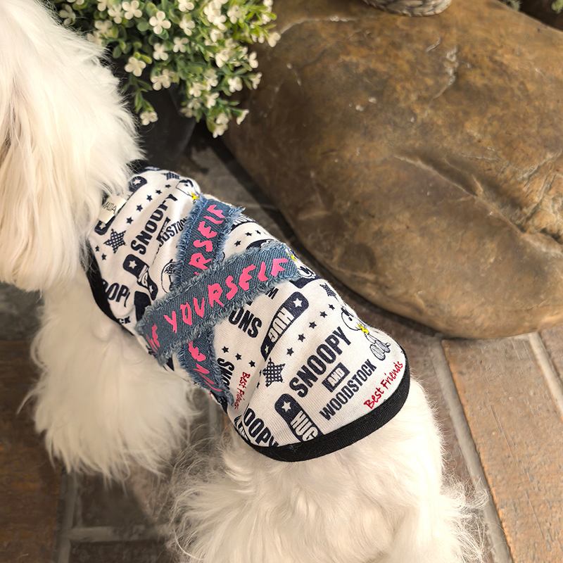 猫咪狗狗衣服博美泰迪比熊马尔济斯约克夏宠物背心夏季薄款衣服