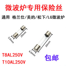 通用格兰仕美的微波炉T8AL250VT10AL延时慢熔5x20/6x30mm保险丝管