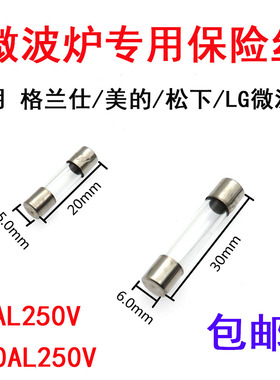 通用格兰仕美的微波炉T8AL250VT10AL延时慢熔5x20/6x30mm保险丝管