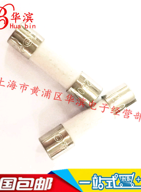 力特陶瓷保险丝10A/250V 5*20不带引脚 T10AH250V 慢熔 现货
