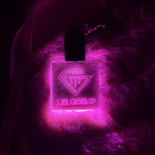 2026邓紫棋I AM GLORIA 2.0巡演应援胸牌灯牌粉丝助威发光道具