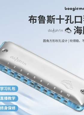 Boogieman海豚布鲁斯蓝调十孔口琴10孔C调初学练习透明琴格paddy