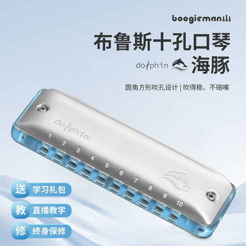 【亚克力琴格】布鲁斯十孔口琴