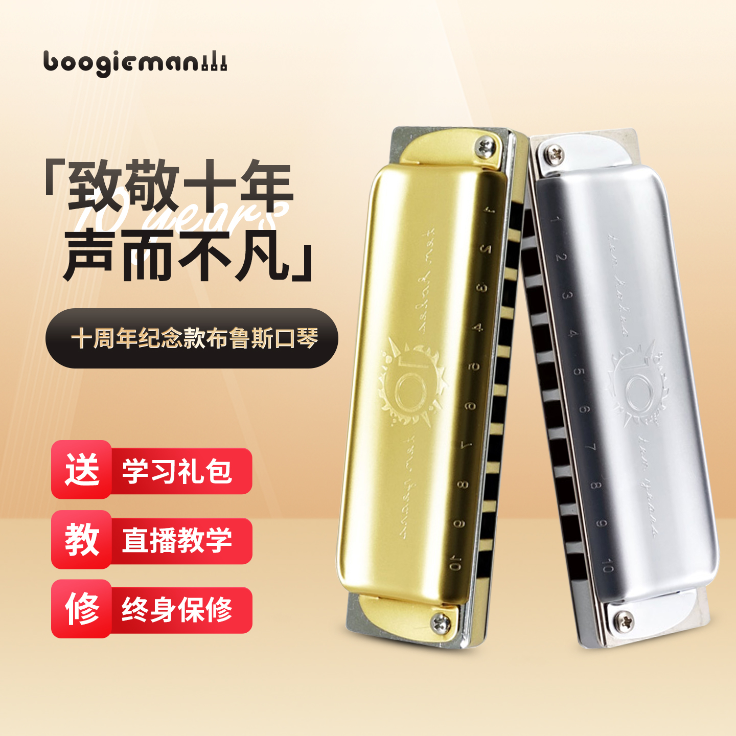 【金属琴格】布鲁斯蓝调十孔口琴