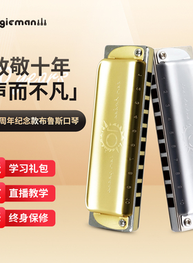 BoogieMan十孔布鲁斯蓝调口琴金属琴格10周年纪念款送礼paddy音阶