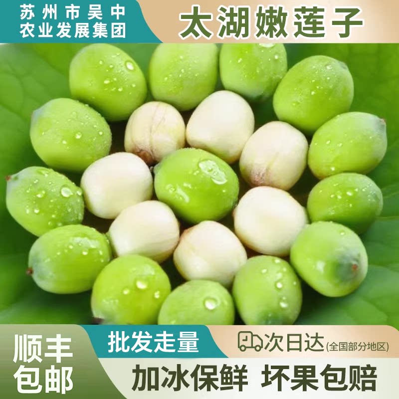 令鲜顺食【太湖糯莲子】当季莲蓬子2025新鲜现采摘顺丰包邮