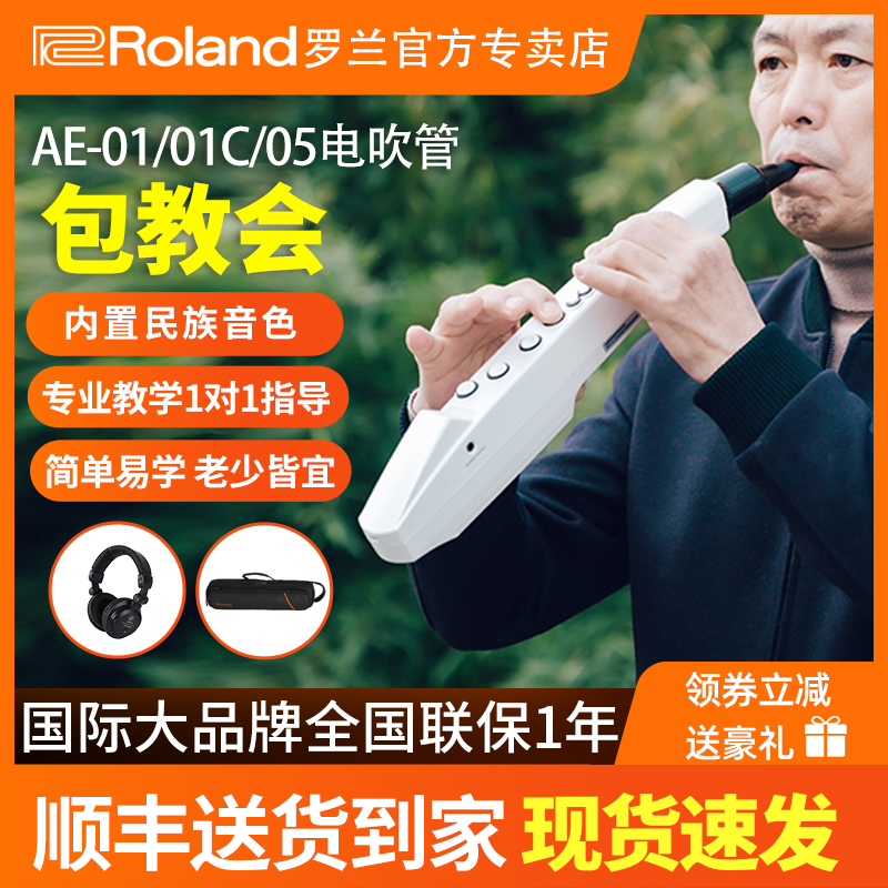 Roland罗兰电吹管乐器AE01娱乐初学ae05/01c电子萨克斯葫芦丝笛子-封面