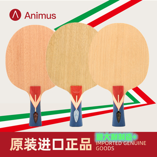 意大利A牌 倚天 瑞典Textreme纤维 OFF弧圈快攻5+2内置乒乓球底板