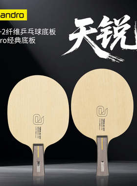 Andro安岸度天瑞Torin外置ACO内置ACI芳碳碳素乒乓球底板球拍