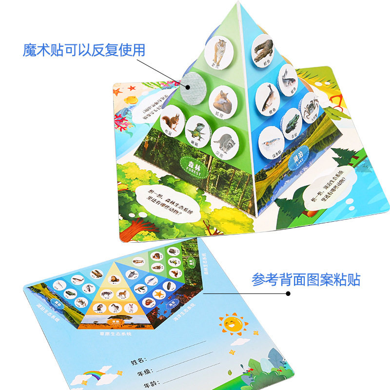 科学实验食物链金字塔科技小制作