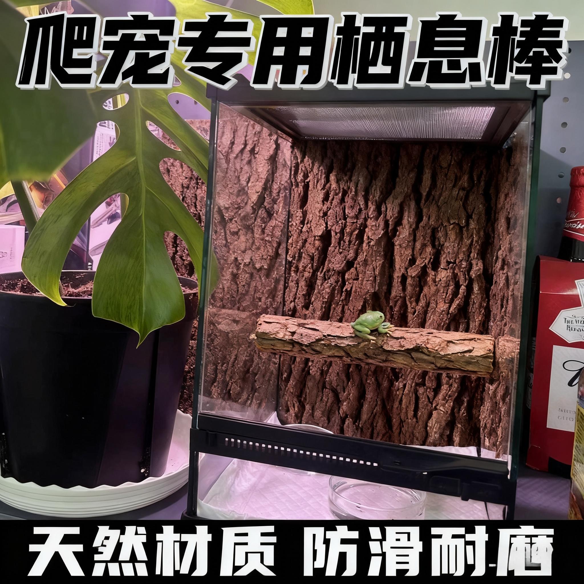 宠物软木攀爬棍 睫角守宫巨人盖勾亚造景 树栖爬虫饲养箱实木爬棍