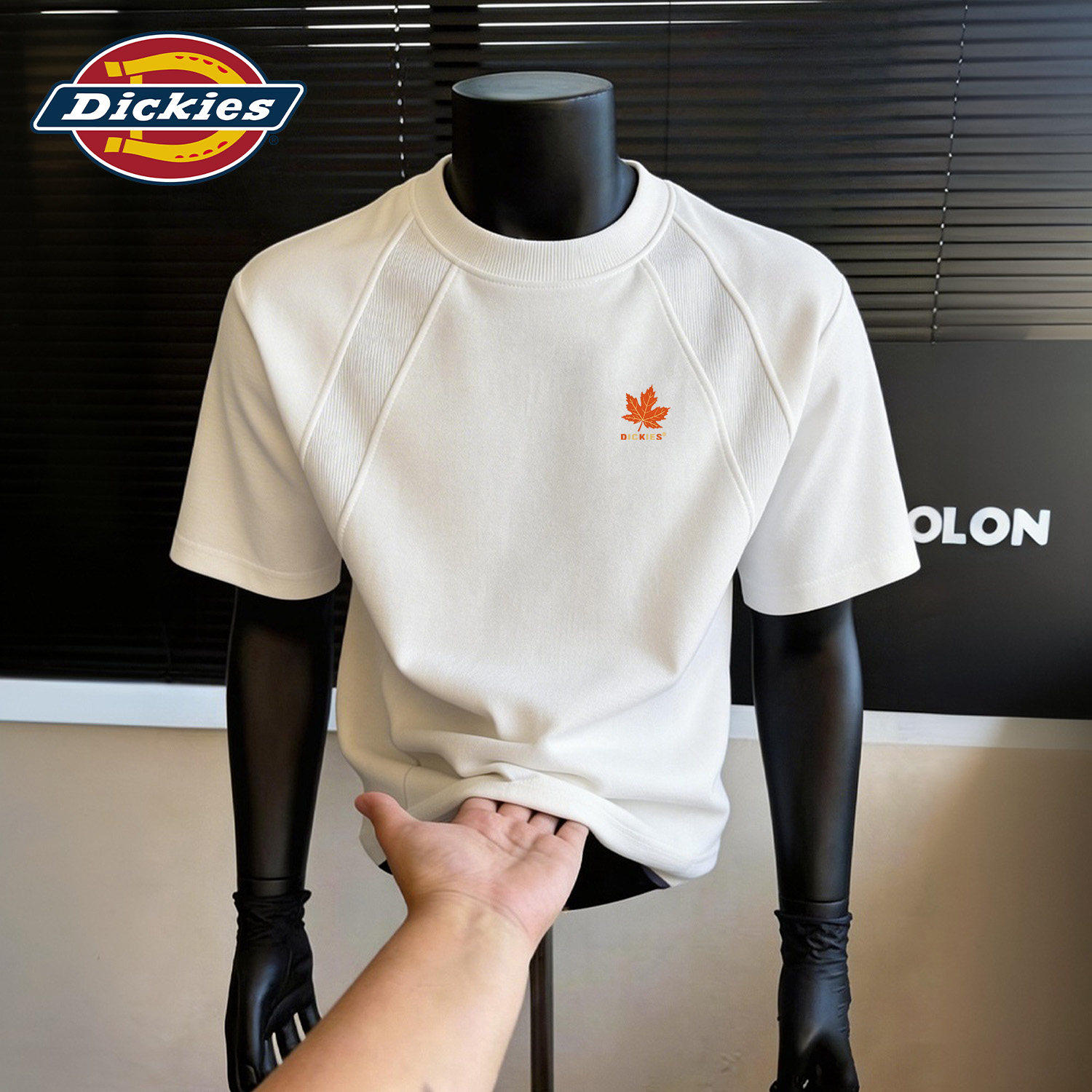 Dickies男士插肩短袖T恤白色