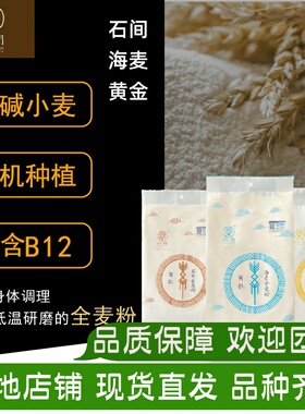 黄金海麦石间有机全麦面粉无添加烘培家用石磨低温研磨黄骅旱碱麦