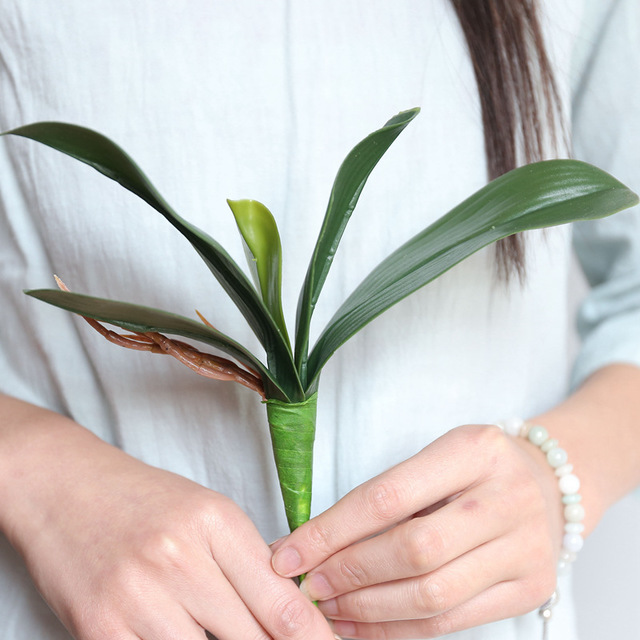 蝴蝶兰叶子兰花叶INS仿真花家居装饰婚庆手捧花墙植物墙假花塑料