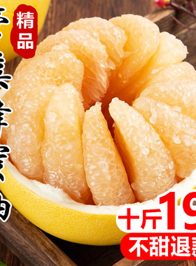 【蜂糖蜜柚10斤】19.8今日特价！