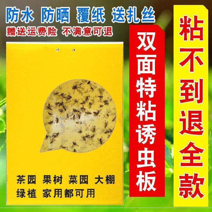 Black Armyworm board Carambole Sticker gardens a kind of midge Catch Flies yellow Bitter Moths outdoorin the Flower delivery/Flowers simulation/Plants gardening , Gardening supplies , Other Garden Supplies  category - from Buy2taobao.com to provide professional Taobao agent buy service