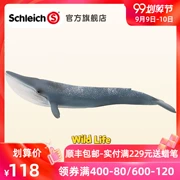 Đức schleich Sile Blue Whale 14806 Mô phỏng tĩnh Mô hình động vật biển Bộ sưu tập đồ chơi trẻ em - Đồ chơi gia đình