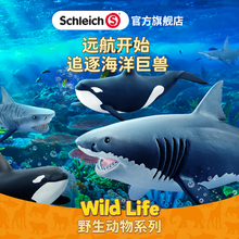 思乐schleich虎鲸14807海洋动物玩具收藏鲸鱼仿真模型塑胶小摆件