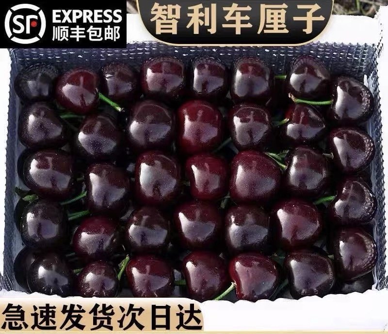 【现货】新鲜车厘子智利进口整箱高档大果樱桃孕妇当季新鲜车厘子,厨房/烹饪用具,调料置物架,淘宝优惠券,粉丝福利购,淘宝优惠卷