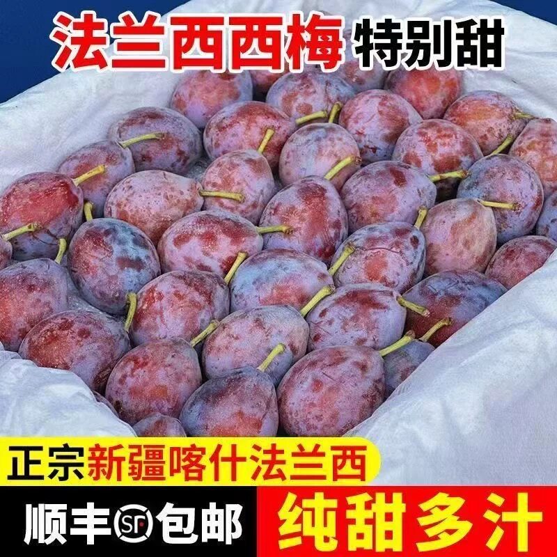 【顺丰包邮】新疆直发正宗喀什法兰西大西梅鲜果当季新鲜水果李子
