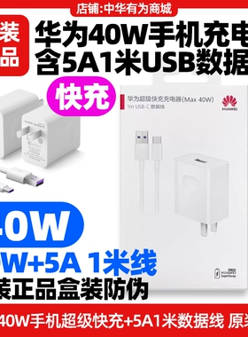 适用于TD Tech鼎桥M40/M40E手机原装充电器40W超级快充5A数据线USB转Type-C充电头充电线M40 5g