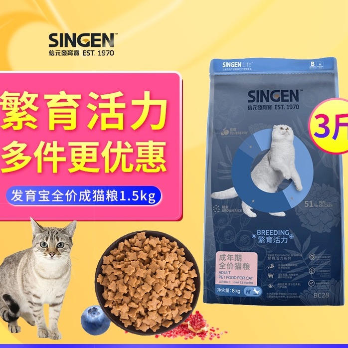 发育宝英短美短繁育活力经典猫粮