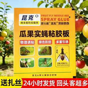 瓜果实蝇针蜂柑橘专用诱捕板防水抗风雨农用灭虫板针蜂克星粘胶板