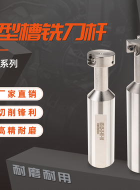 ATS系列T型槽铣刀杆 T型铣刀杆 T型开槽刀杆直柄开槽铣刀杆32 40