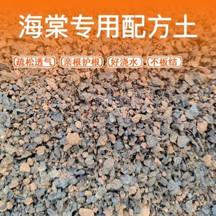 海棠专用土疏松透气不板结家庭盆栽营养丰富海棠配方营养土亲根