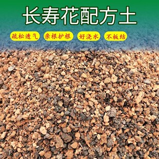 长寿花专用土疏松透气不板结亲根护根保水配方土长寿花营养土