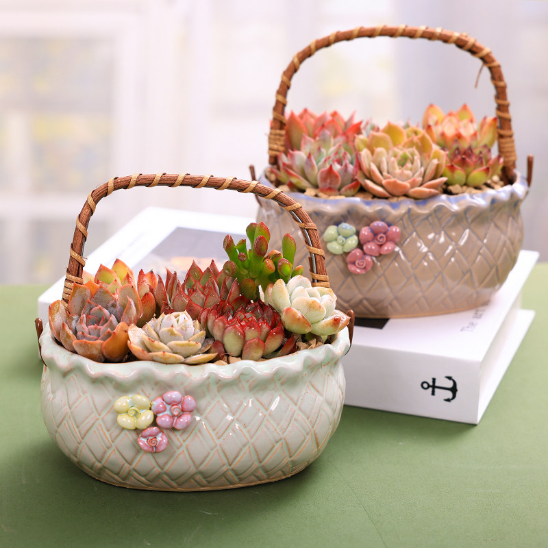 多肉植物手提篮陶瓷盆组合桌面盆栽种好发货公司活动节日送人礼品
