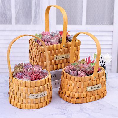 多肉植物手提花篮组合diy盆栽