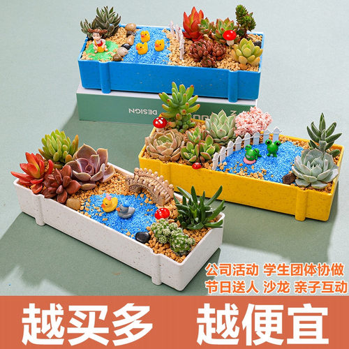 多肉盆栽微景观DIY材料包礼物
