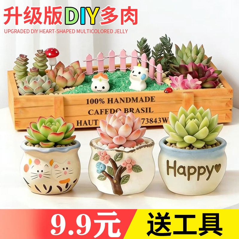 多肉植物组合盆栽带盆手工微景观DIY桌面小盆栽卡通花盆装饰摆件