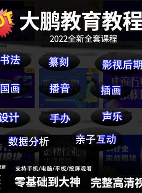 大鹏教育教程全套平面广告书法pr影视后期国画美术插画设计PS课程