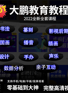 大鹏教育教程全套平面广告书法pr影视后期国画美术插画设计PS课程