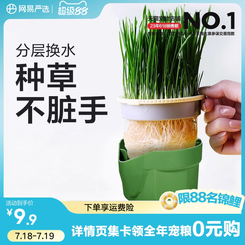 网易严选无土水培猫草