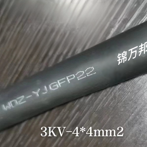 WDZN‑YJGFP22高压屏蔽铠装电缆 特种低烟无卤阻燃电缆线 3KV
