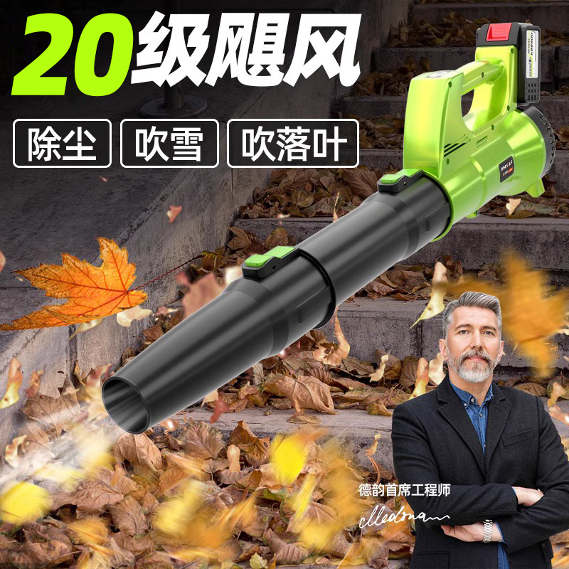 德国进口鼓风机大功率工业除尘器吹灰机强力落叶充电吹雪神器机车