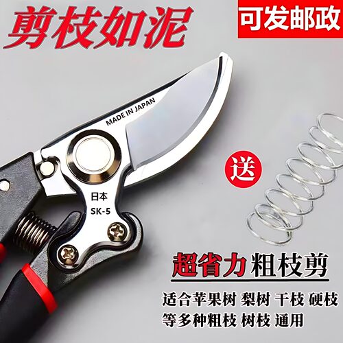 SK5强力果树修枝剪大号园艺剪