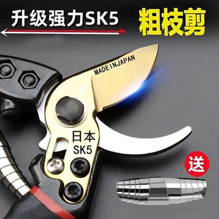 SK5修枝剪修剪果树剪枝园林修枝枝剪园艺花剪剪树枝专用剪刀 新款