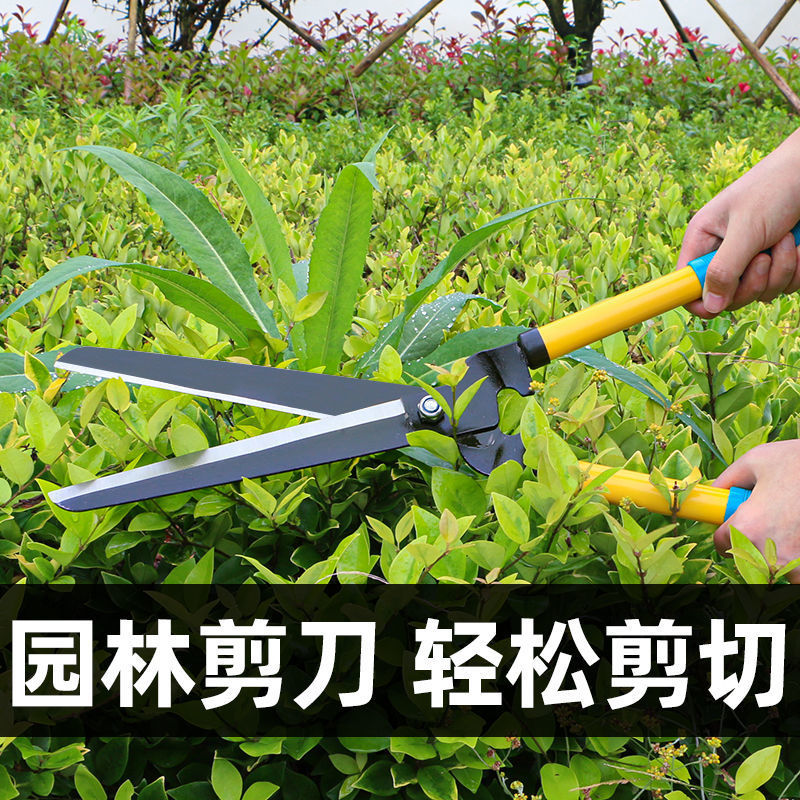 园艺修枝剪绿化草坪篱大花林工具图片